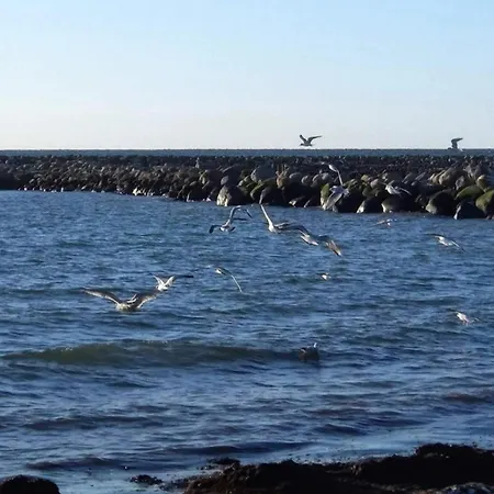 Seaside Serenity In Hummingen-by Traum Hébergement de vacances Dannemare