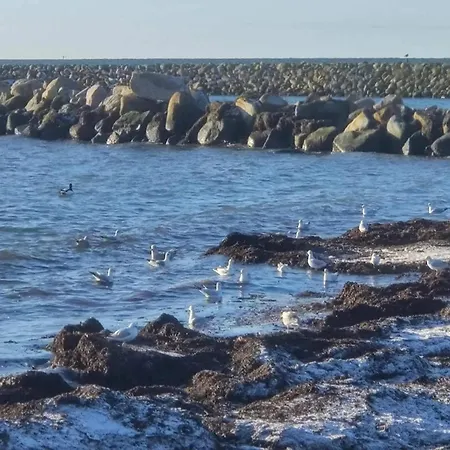 Seaside Serenity In Hummingen-by Traum *