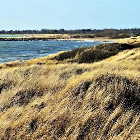 Seaside Serenity In Hummingen-by Traum *